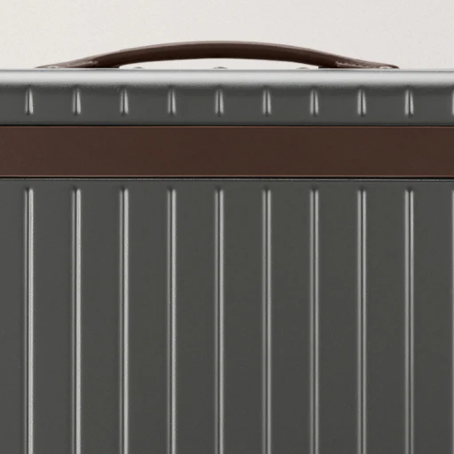 The Carry-on - Image 52