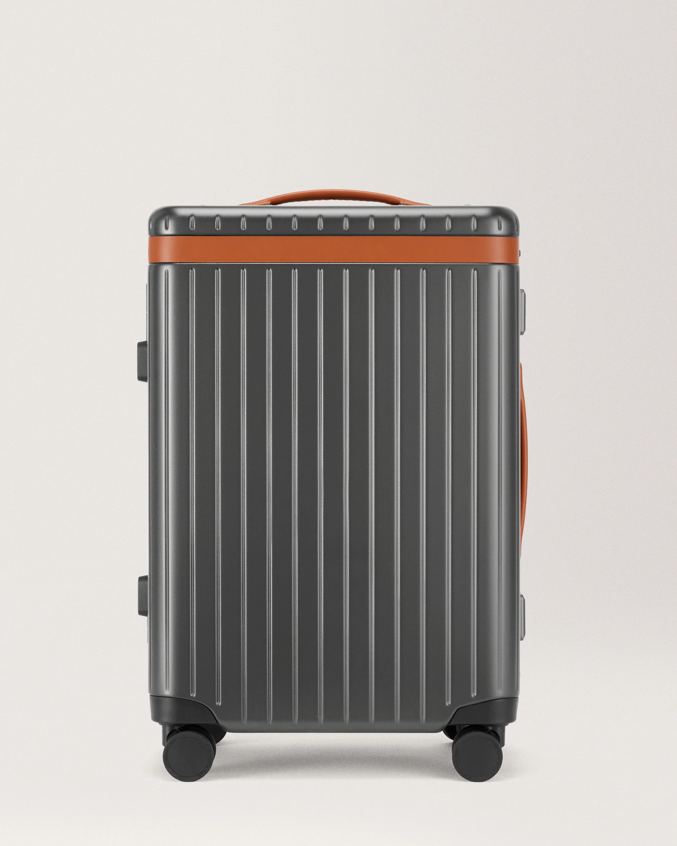The Large Carry-on - Image 13