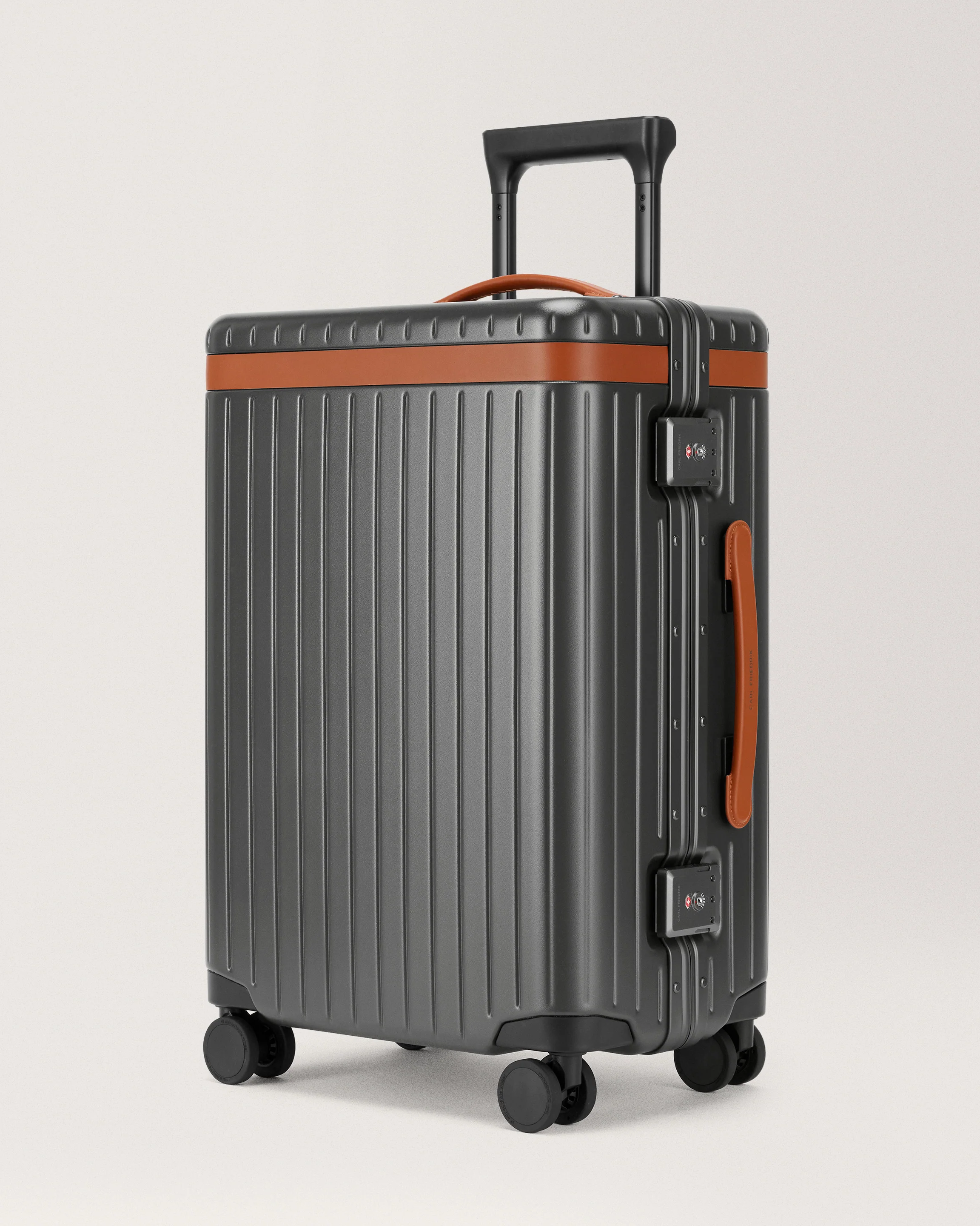 The Large Carry-on - Image 16