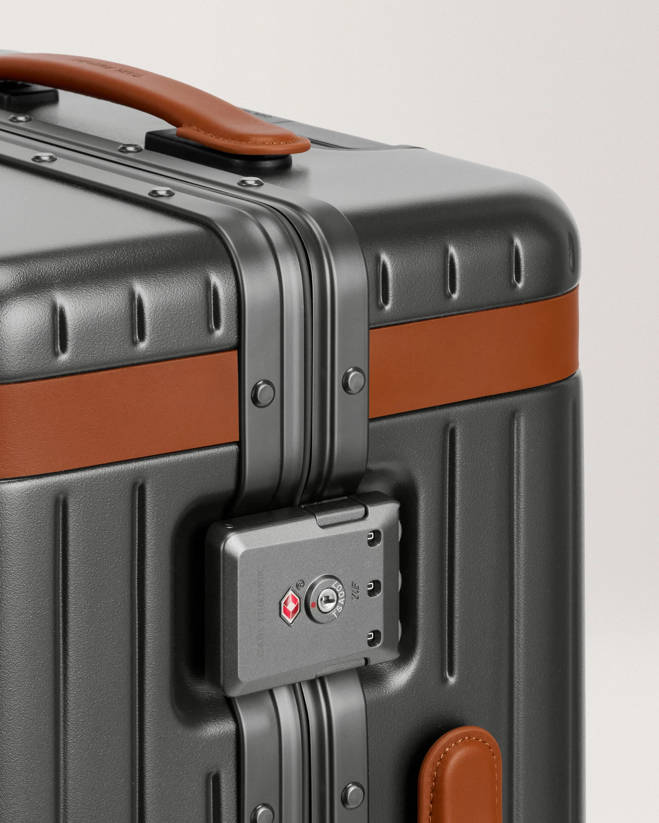 The Large Carry-on - Image 17