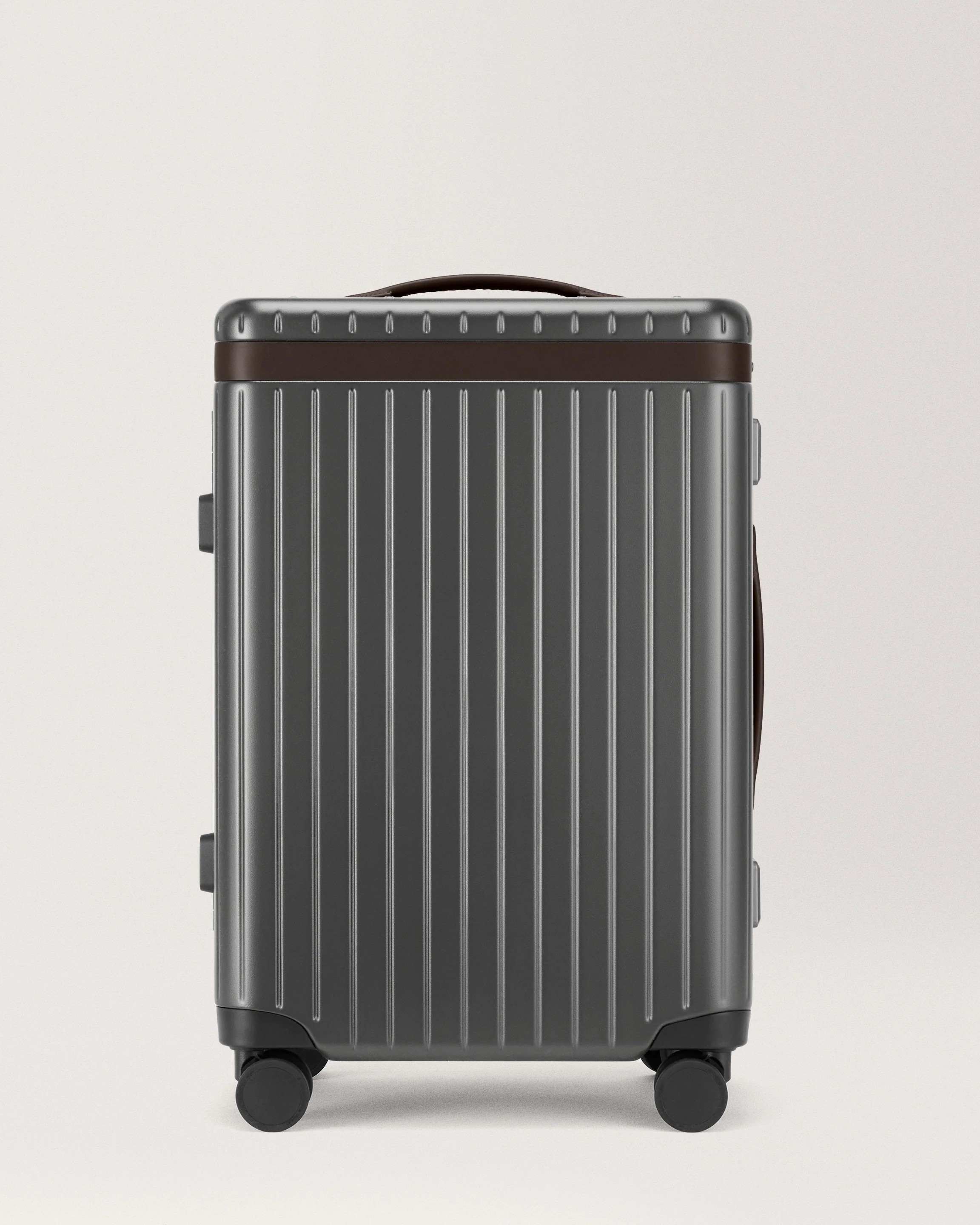 The Large Carry-on - Image 3