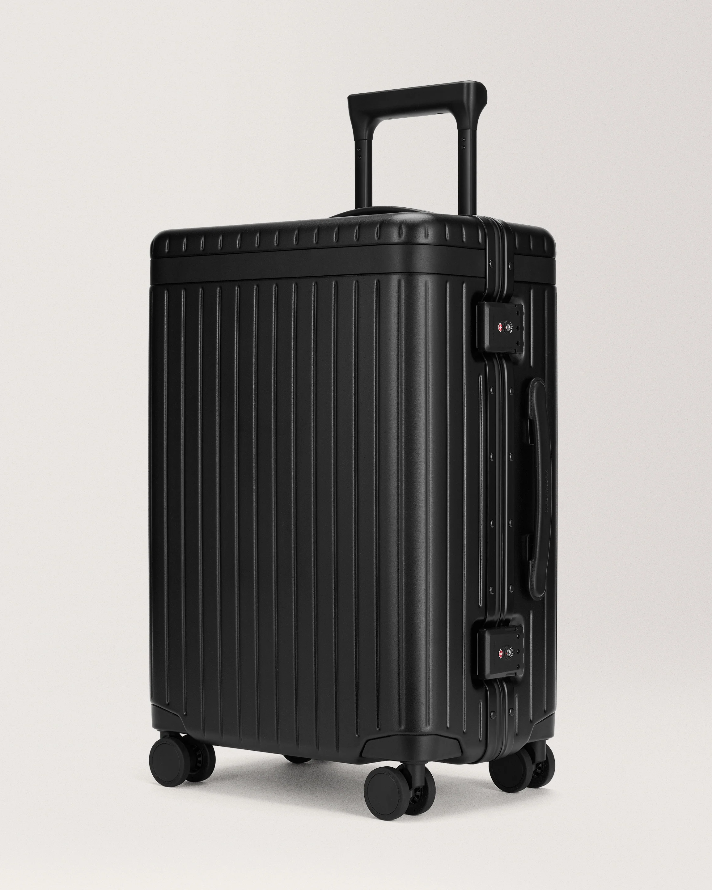 The Large Carry-on - Image 31