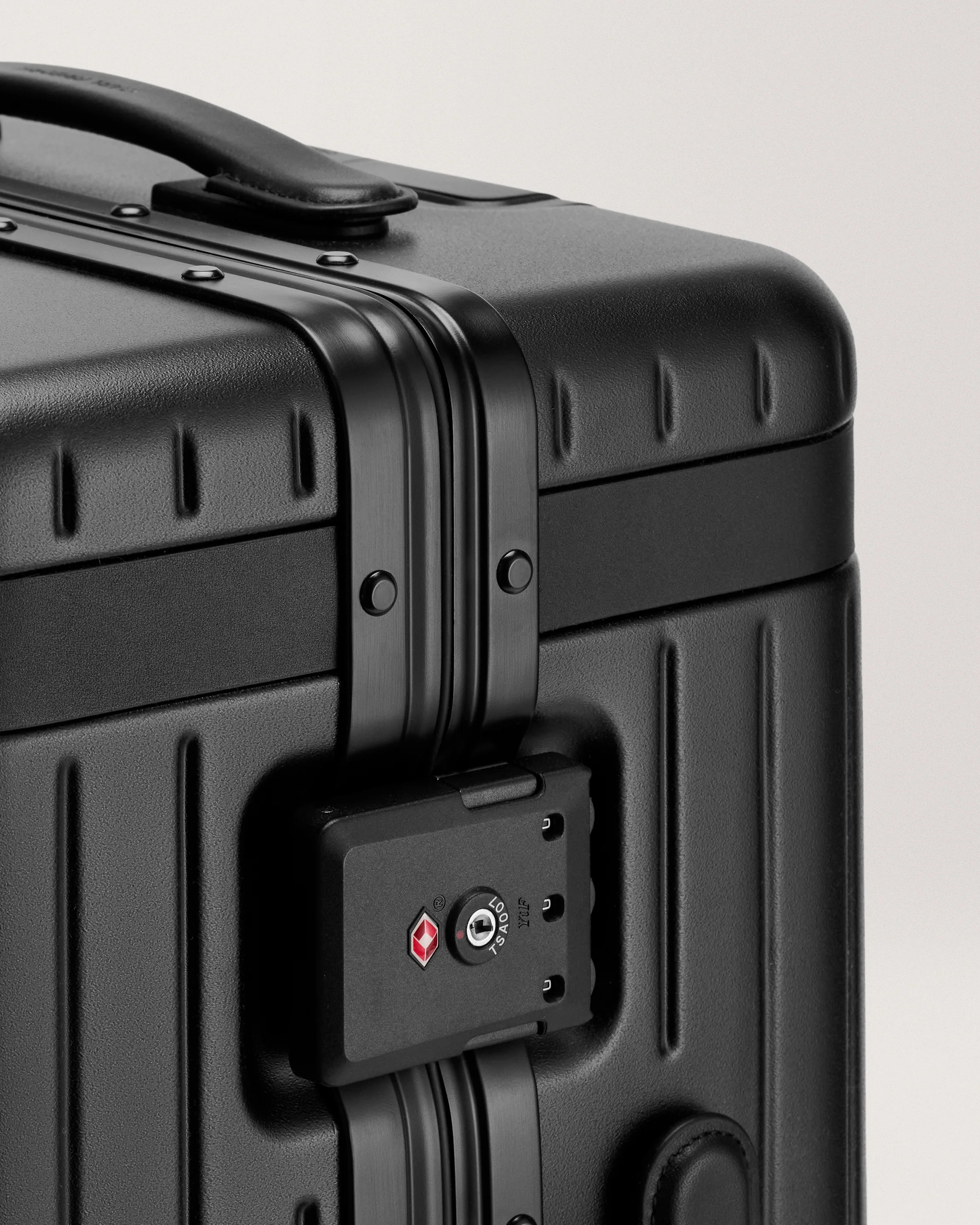 The Large Carry-on - Image 32