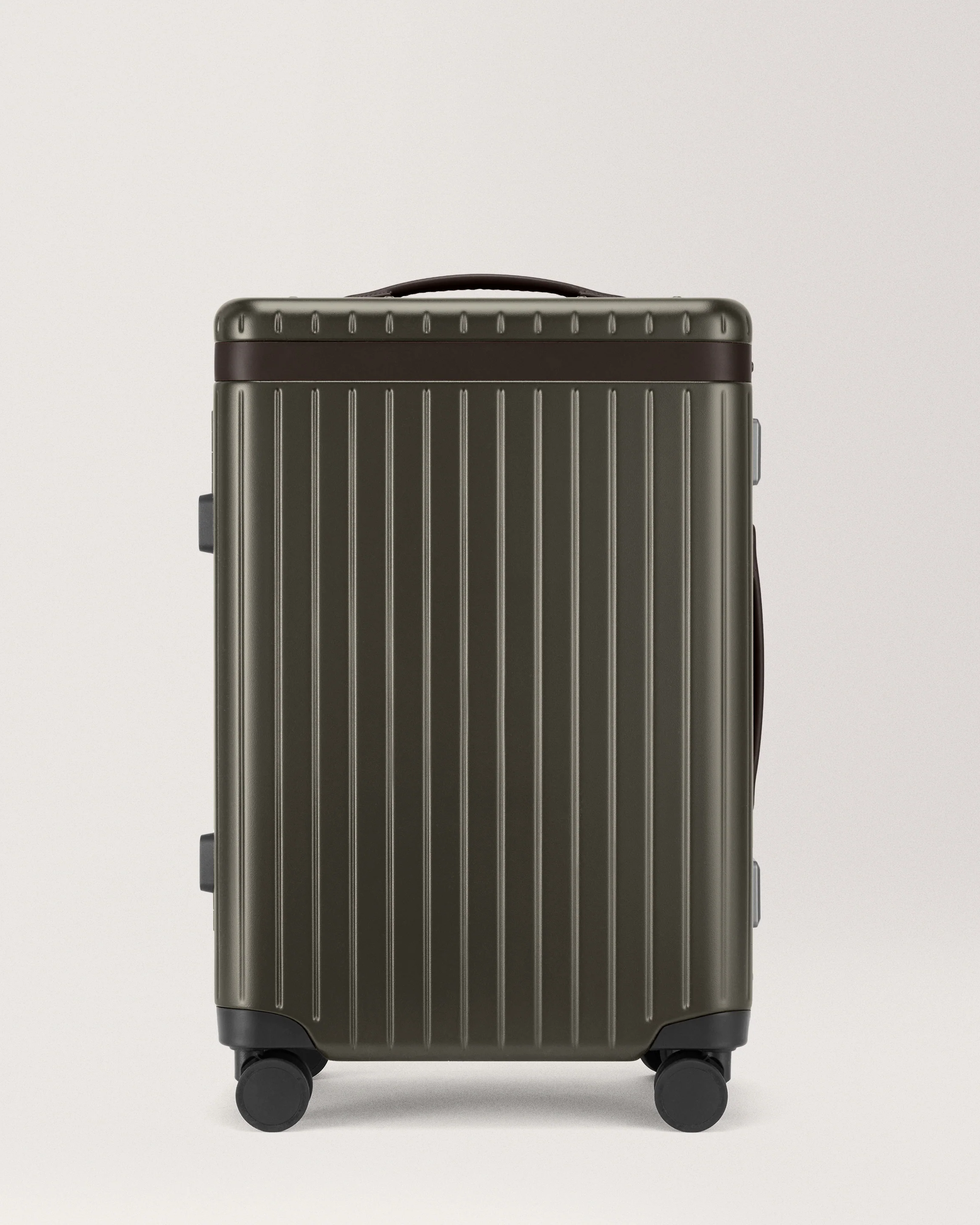 The Large Carry-on - Image 38