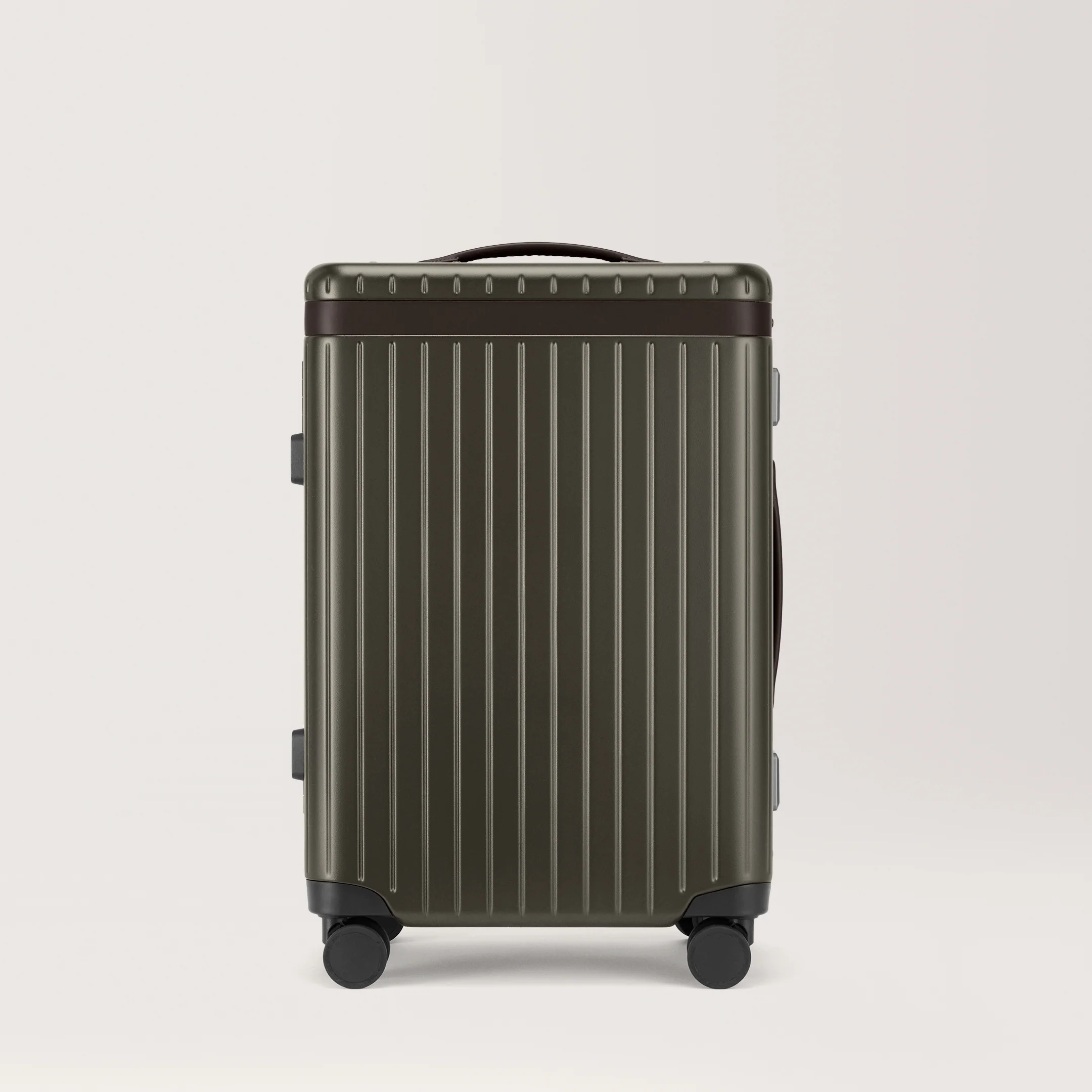 The Large Carry-on - Image 60